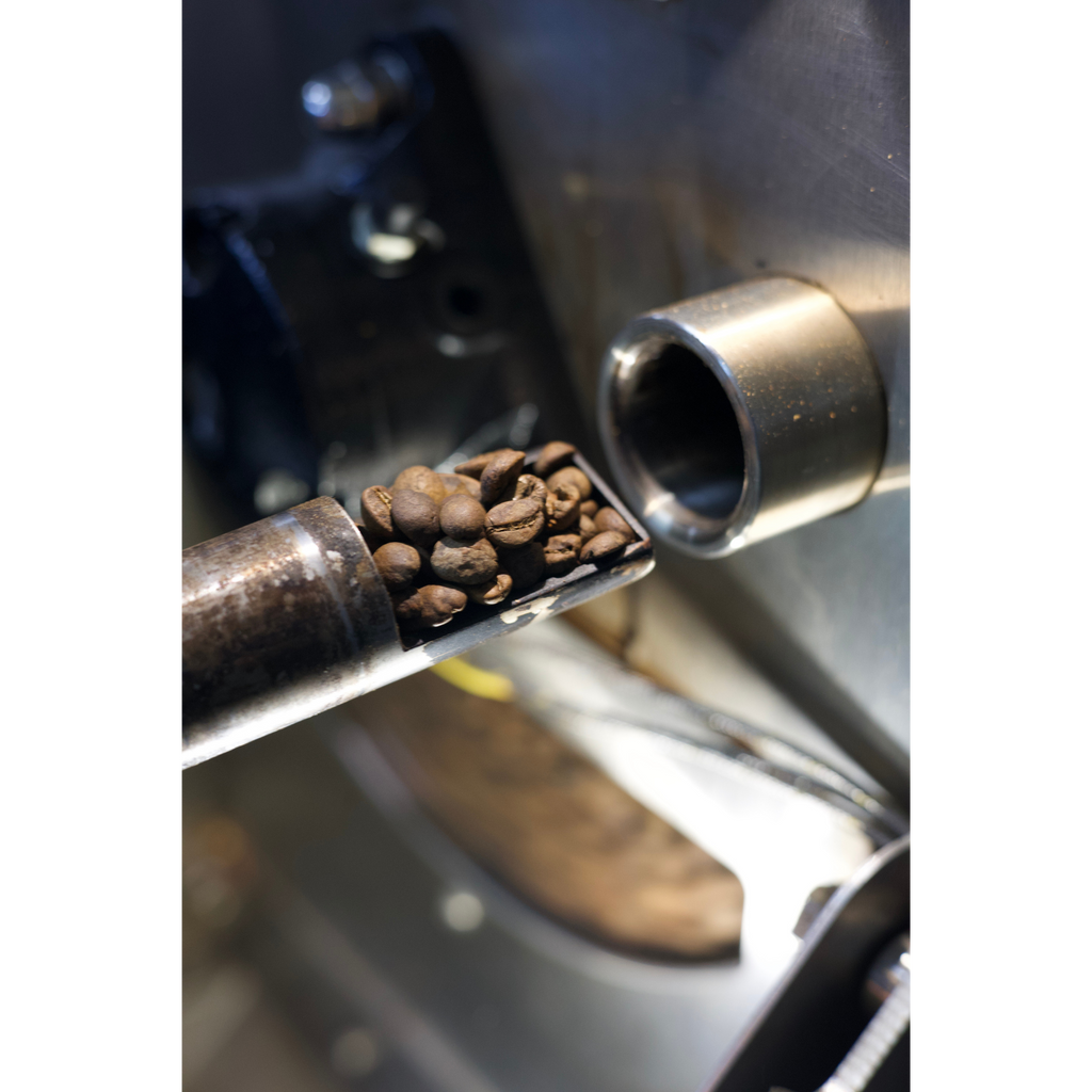 Misuku Hills — Single-Origin Arabica · Northern Malawi